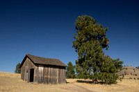 Wild Horse Island Cabin