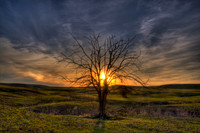 Edge of Day