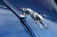Color photograph of a classic Ford greyhound hood ornament on a vintage blue car by Crystal Nederman.