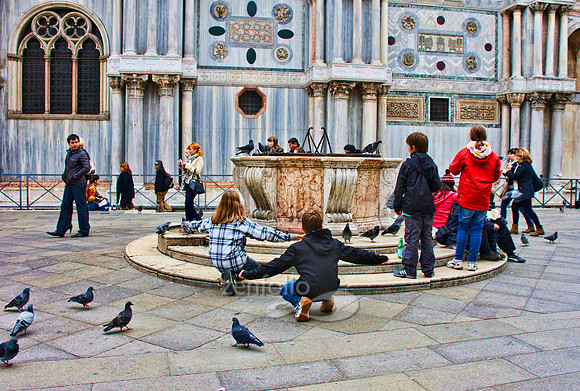 Photograph of children and pigeons near St. Marks square in Venice, Italy by Crystal Nederman