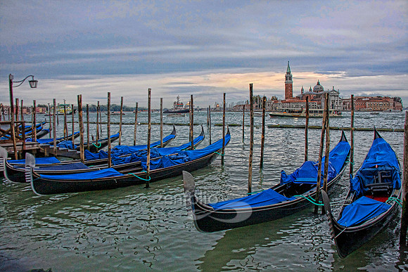 Rows of gondolas with the bright blue covers front San Giorgia Maggiore in Venice, Italy by Crystal Nederman