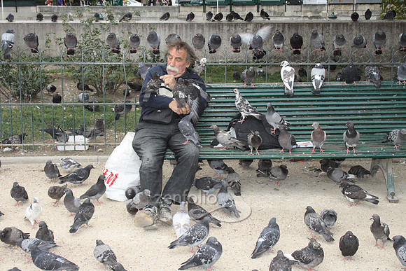 Bird Man of Notre Dame