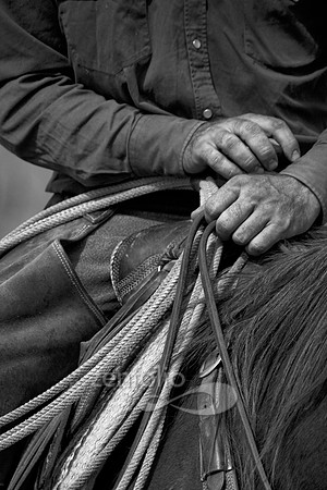 Working Hands