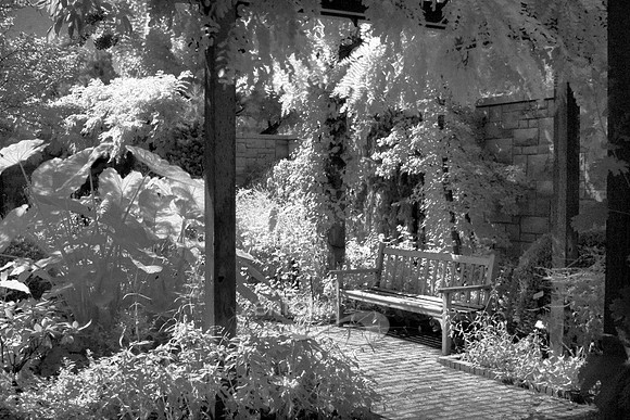 Solitude