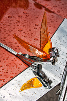 Color photograph of a vintage hood ornament in the rain by Crystal Nederman