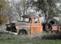 Color photograph of an antique truck in the woods by Crystal Nederman