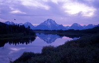 Snake River Reflection - 300