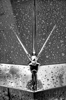 Black and White photograph of the Flying Goddess antique hood ornament by Crystal Nederman