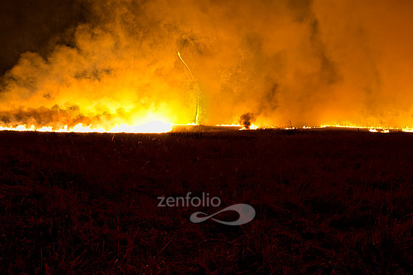 Fire Tornado