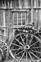 Wheels, Wheels and More Wheels