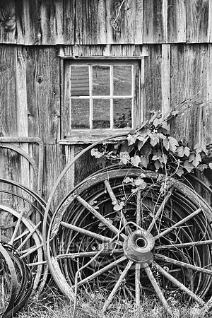 Wheels, Wheels and More Wheels